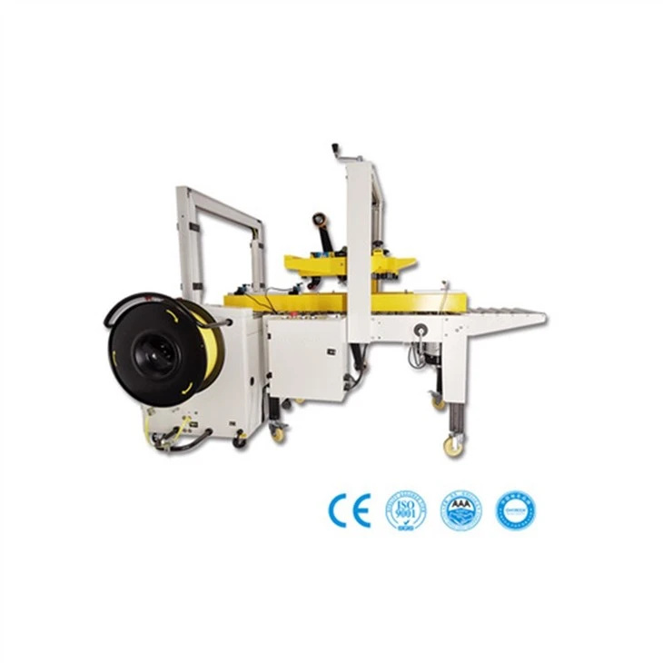 Carton Packing Machine