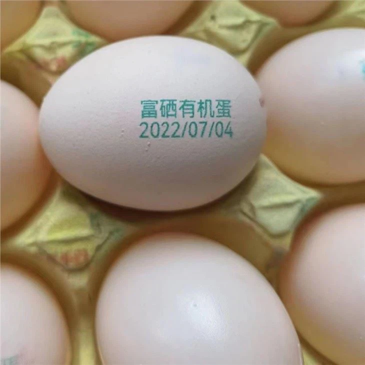 Automatic Egg Date Printer