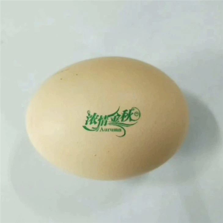 Egg Tray Egg Laser Printing Printer Machine