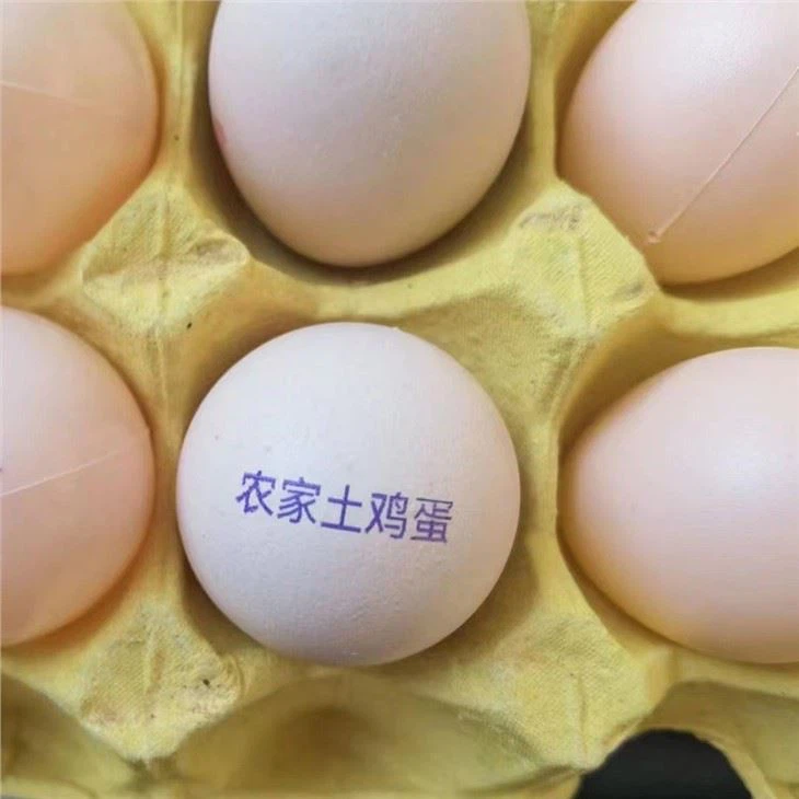 Inkjet Printer For Egg